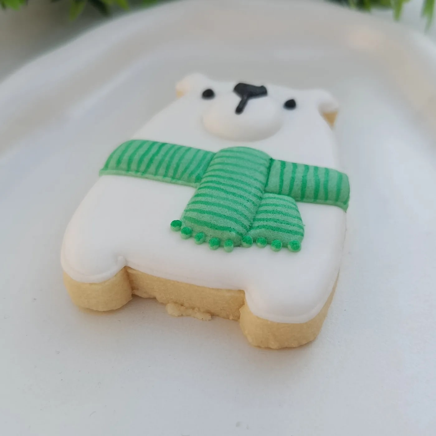کوکی خرس قطبی
