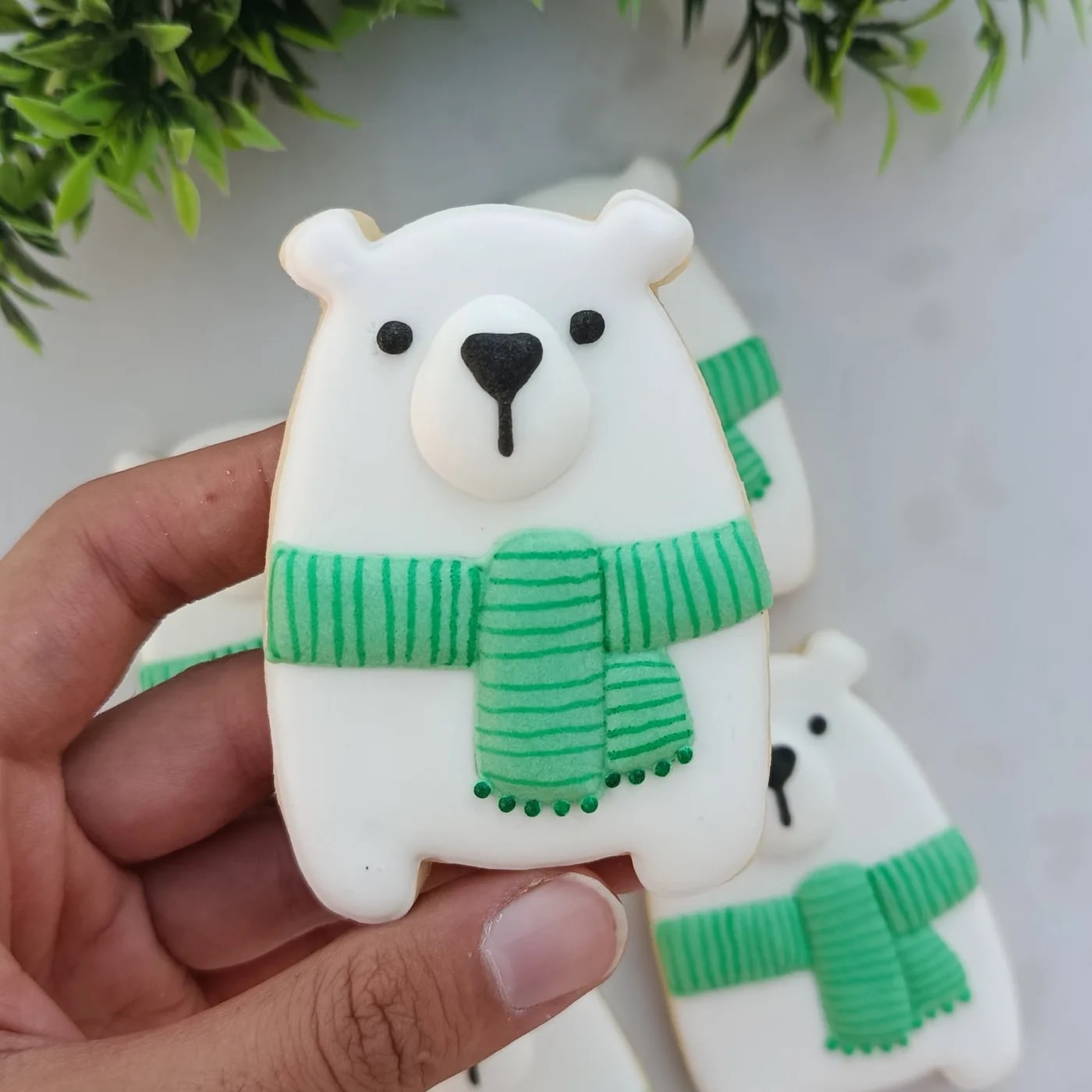 کوکی خرس قطبی