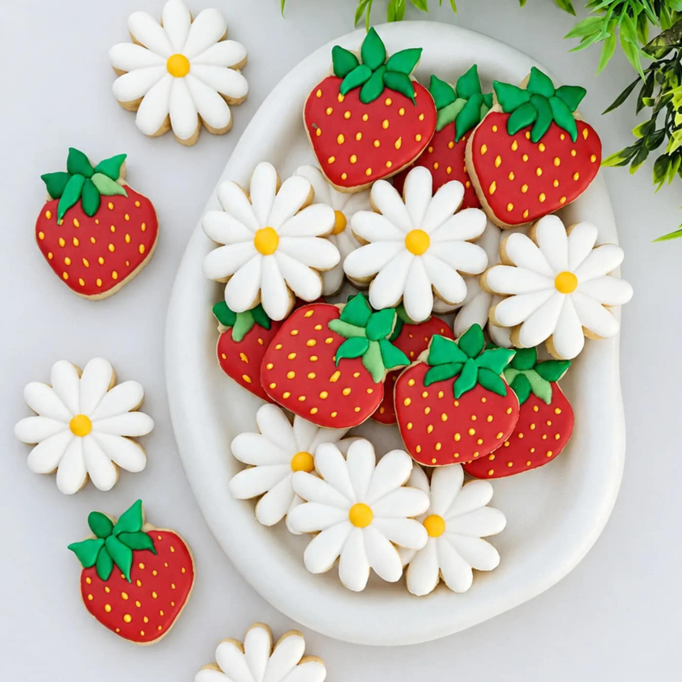 کوکی توت فرنگی و بابونه